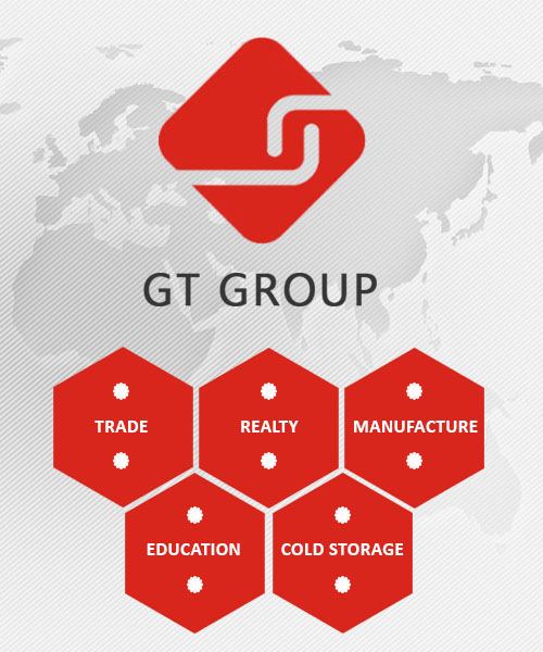 About GT Group